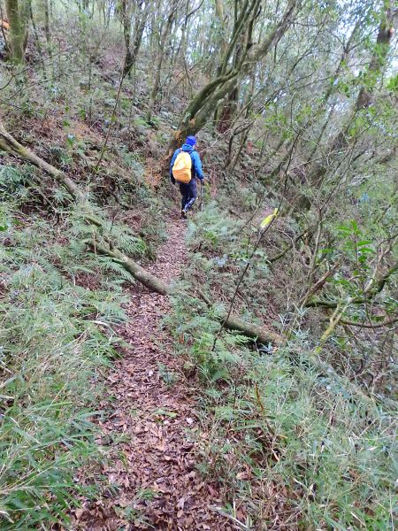 八五古道李崠山大混山連走103109