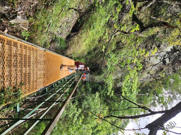 【百岳】志佳陽大山2779736