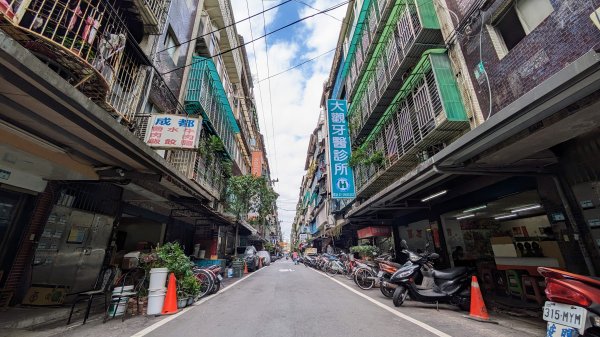 浮洲濕地,打鳥埤濕地,城林濕地2377903