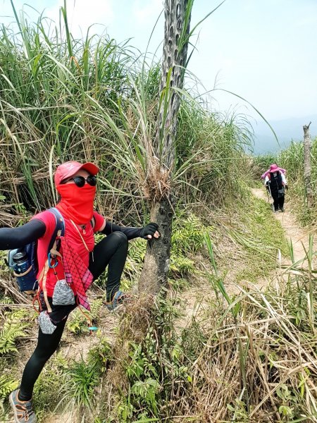 熱血在鵲子山 沁涼在猴洞坑瀑布943465