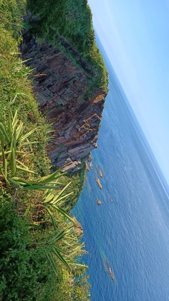 龍洞岬步道&龍洞浮潛1758234