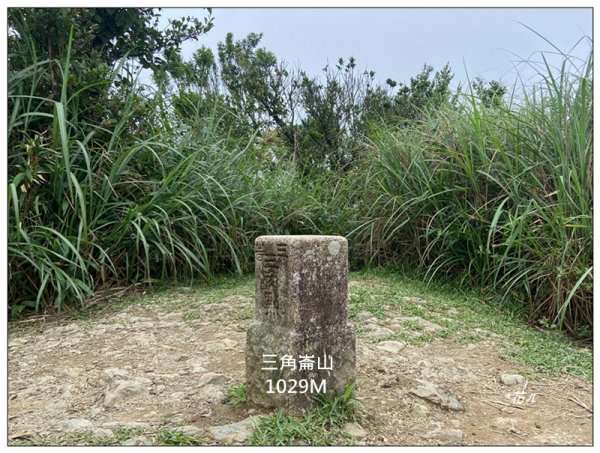 聖母峰、三角崙山 (抹茶山) 連走2802243