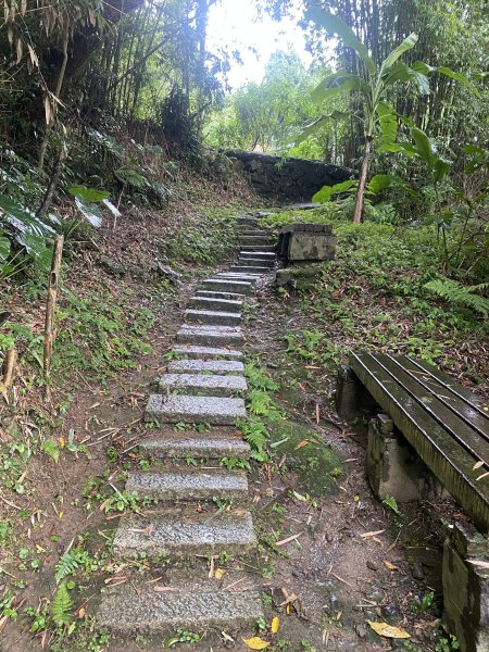 20250705-Ep.03六寮古道-2025森遊竹縣皮皮獅探險隊2851473