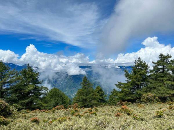 郡大林道-郡大山～2226207