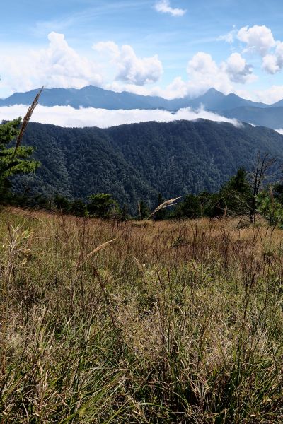 桃山獨走初秋175039