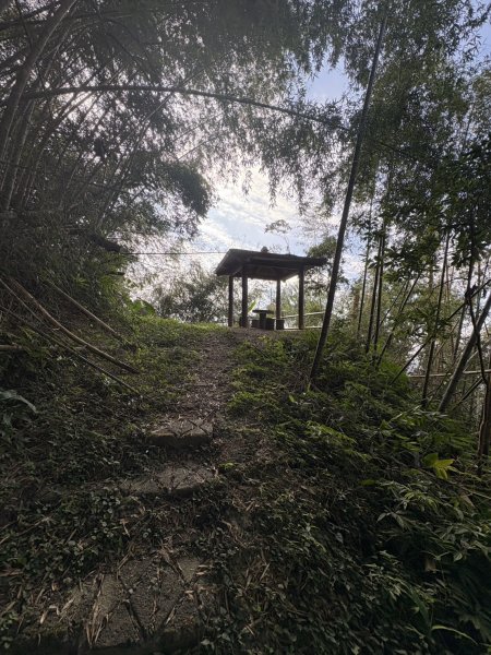 20251122大湖尖山步道(啟登直上第三涼亭)2944521