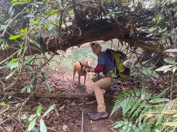 馬那邦山.細道邦山【你 不能預判山的變幻莫測】2401508