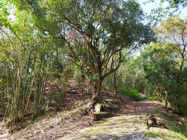 [高雄六龜][二]大寮山、后山、竹子門