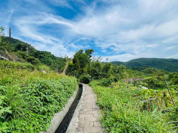 1140926坪頂古圳親山步道2895472