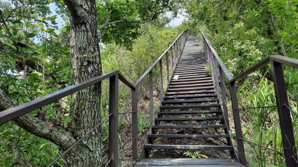 《南投》峰峰相連｜草屯九九峰森林步道O型202509062879253