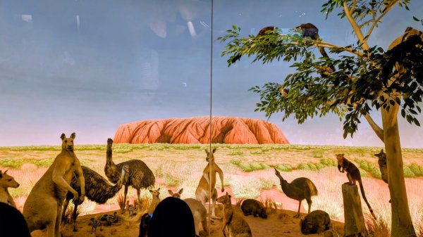 琴弦上的白宮2987577