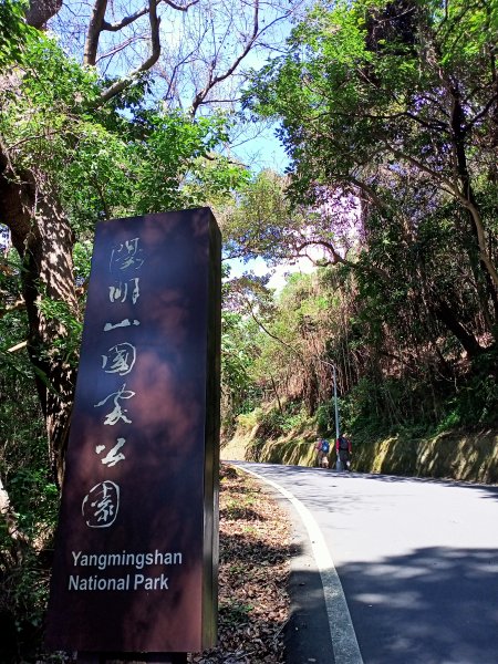 漫遊圓山八二三砲戰紀念公園→劍潭公園→天母→猴洞→半嶺→紗帽路→大港墘公園2045724