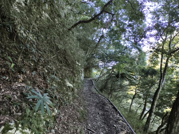 [玉山尋寶任務-07/12] 2025_0824 八通關雲龍瀑布步道2870538