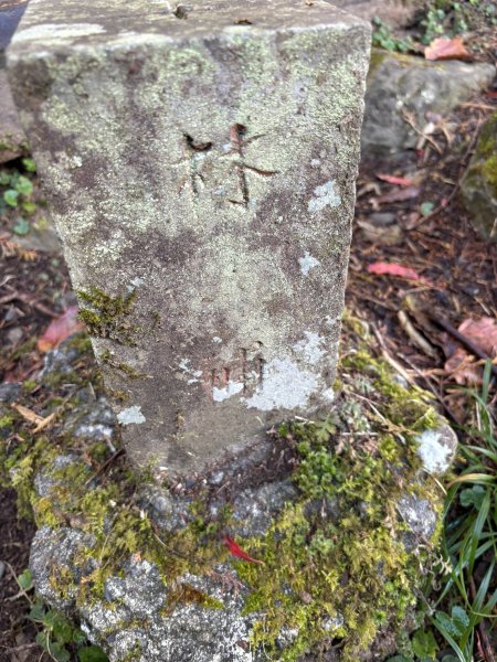 20251225塔山步道(大塔山)2970343