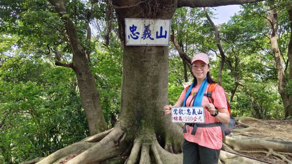 (姨婆趴趴走)第十集:攀登新北鶯歌蛋山，鶯歌郊山步道群縱走(二)2167984