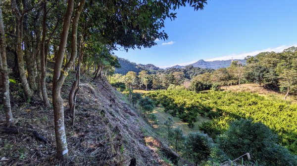 月扇湖山大岩壁,楓紅,落羽松2375347