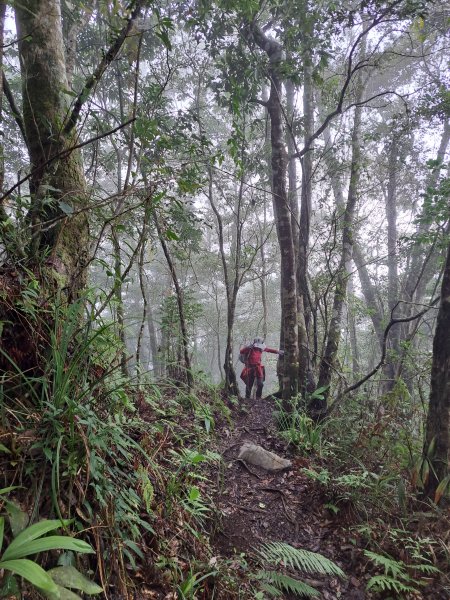 砂卡礑二日行D1：得卡倫步道→大禮部落→砂卡礑林道→立霧山→大同部落202312022368267