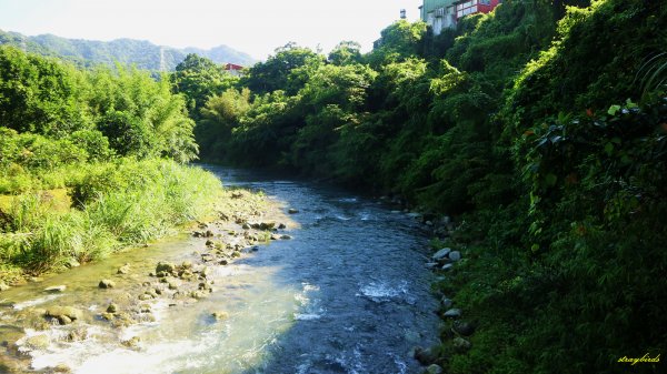 【淡蘭中路】翻山越嶺的茶商之道981230