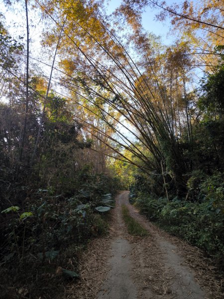 2026-02-10 白雲山2999914