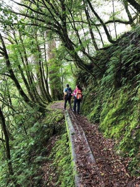 福巴越嶺古道上拉拉山（達觀山）1748423