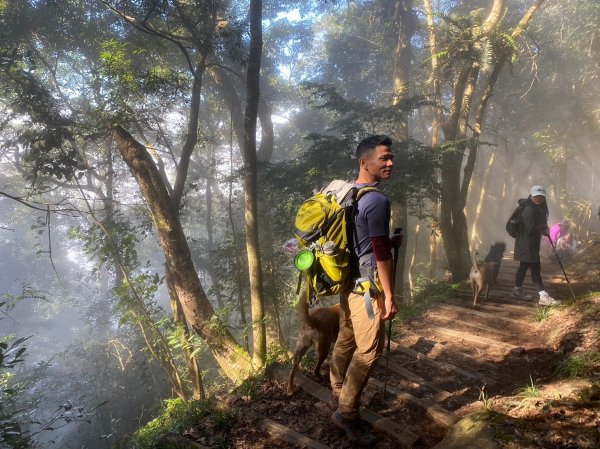 馬那邦山.細道邦山【你 不能預判山的變幻莫測】2401503