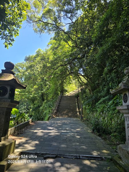 2025-08-17臺北大縱走第七段：世界山莊至飛龍步道政大後山2862362