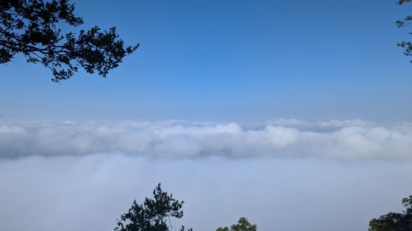 ∆步道∆ 王爺崙山 龍麟山步道2750747