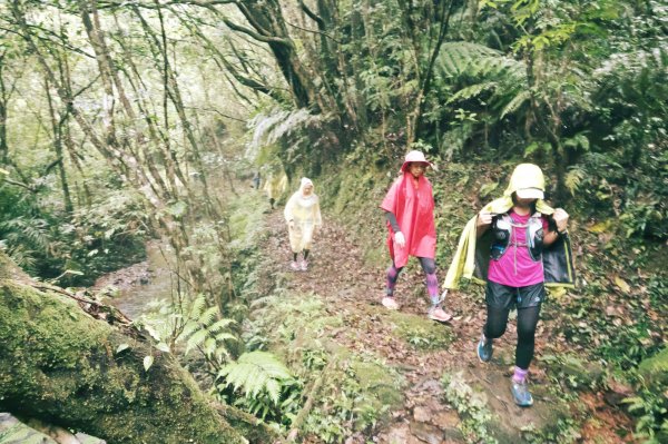 淡蘭古道中路O型988514