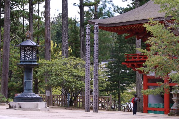 高野参詣道：不動坂に始まり祈りは奥の院へ2923235