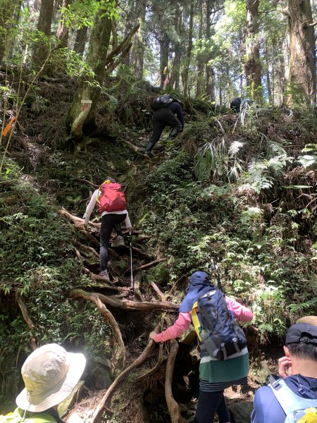 20250517義義兒玉山-東水山2791629
