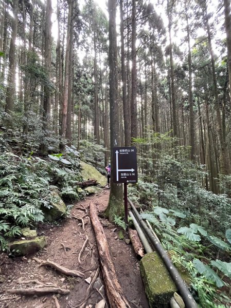 小百岳～加里山 09181858300