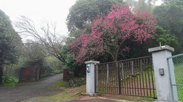 十八彎古道2026571