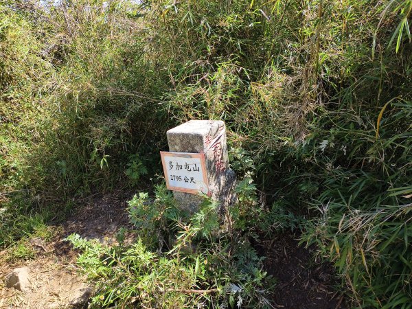 北一段(03/14)多加屯山 2025_0906~132885274