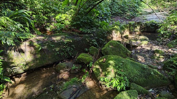 柴寮古道、中坑古道2814660