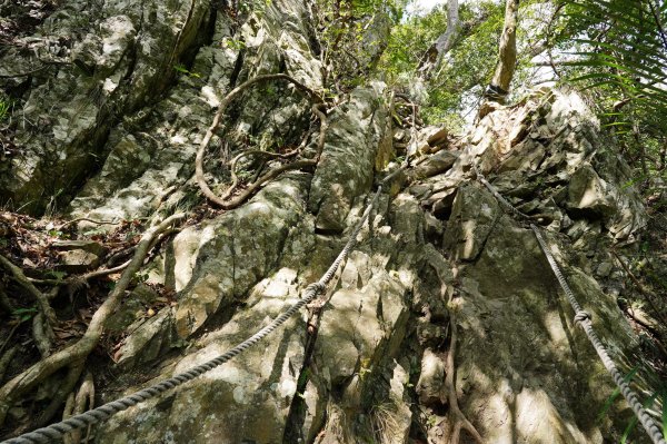 臺中 和平 屋我尾山、十文溪山2699457