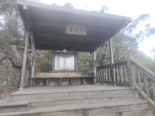 金面山親山步道2664156