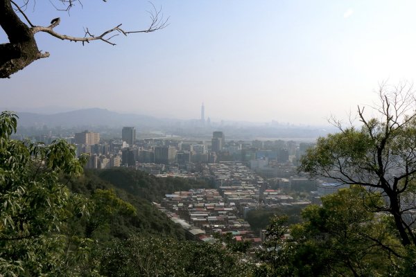 金面山。九蓮寺523754