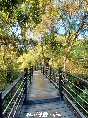 【台中北屯】大坑9-1x9號步道小O繞2945941