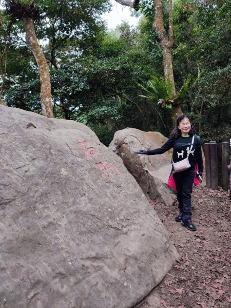 四訪苗栗的花果山-小百岳#037馬那邦山、雪霸國家公園管理處【小百岳集起來、苗栗-臺灣百大必訪步道】2394229
