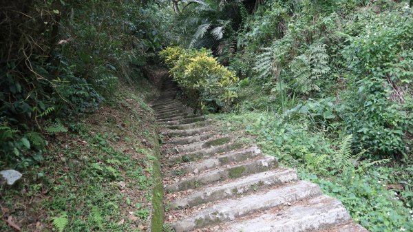 大修宮步道登山健行趣(步道)2122843