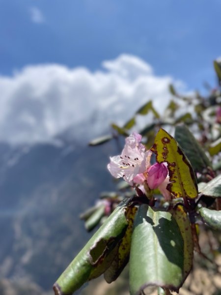 尼泊爾聖母峰EBC基地營❤️風景篇2790950