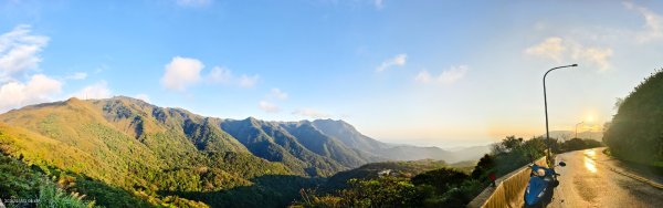 追花是簡單的快樂，賞花是恬淡的幸褔 3/2&73008757