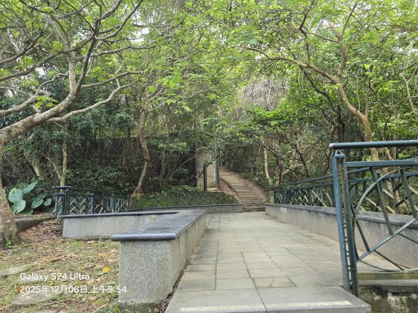 2025-12-06微笑山線：【二格山系】和美山螢火蟲段2956823