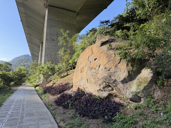 [淡蘭古道] 2026_0315 南路第二段_外按古道3016395