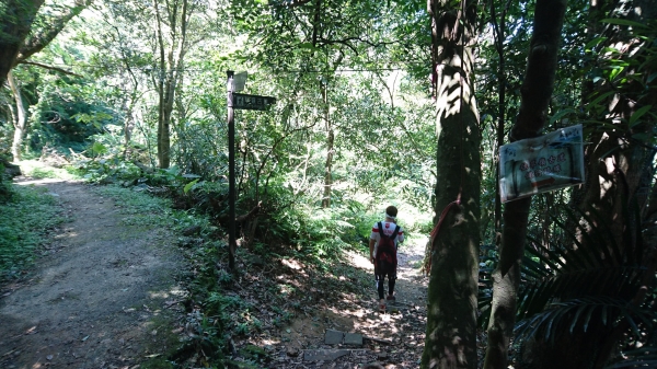 福隆．遠望坑．草嶺古道．桃源谷．大溪49576