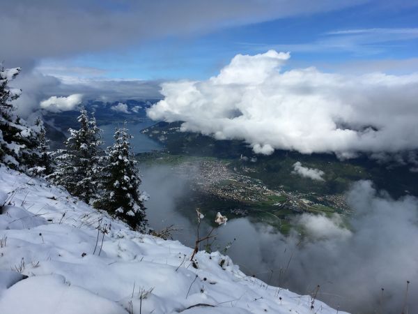 瑞士勇腳健行團~雪地篇172826