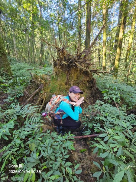 20260104源茂山.源茂山西峰.和尚髻山O走+親水觀魚步道2977713
