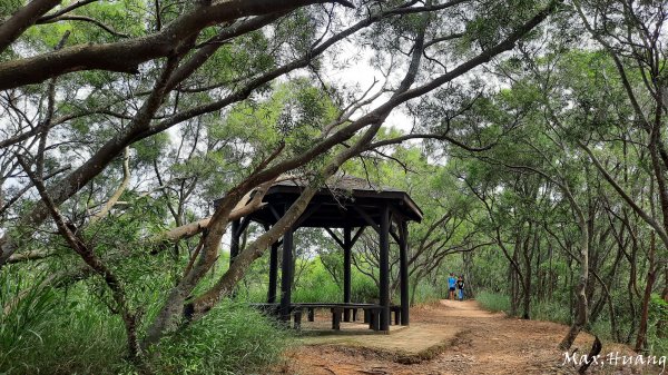 《台中》秋節秋虎｜大肚環保公園登山步道202310012301207