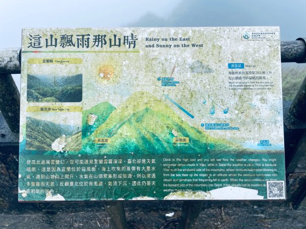 20250329 抹茶山-聖母登山步道2758941