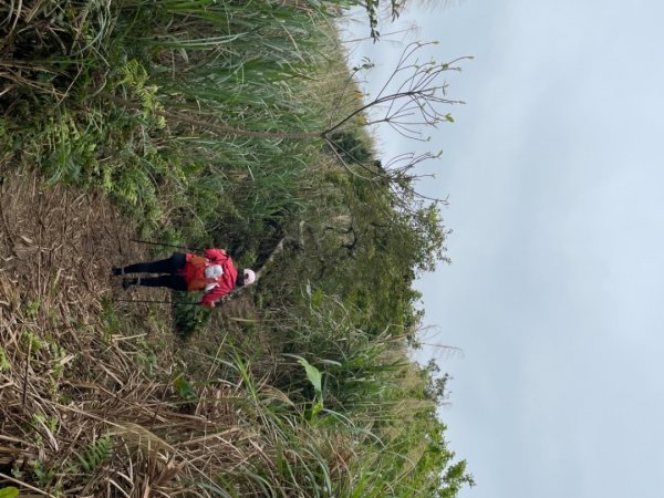 1100313宜蘭鹊子山+跑馬古道1304114